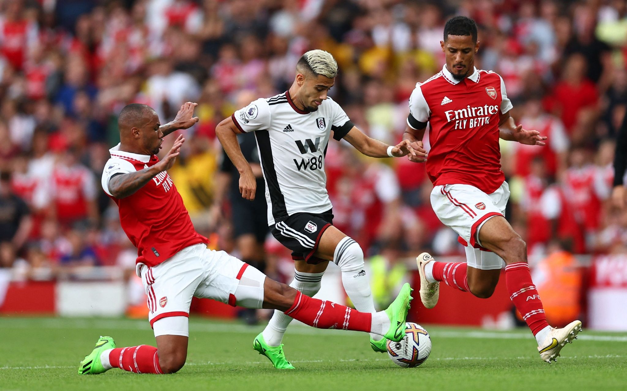 的精彩表现 的精彩表现